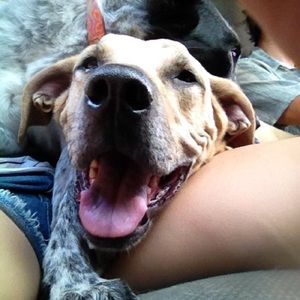 Meet your Posher, Jillian